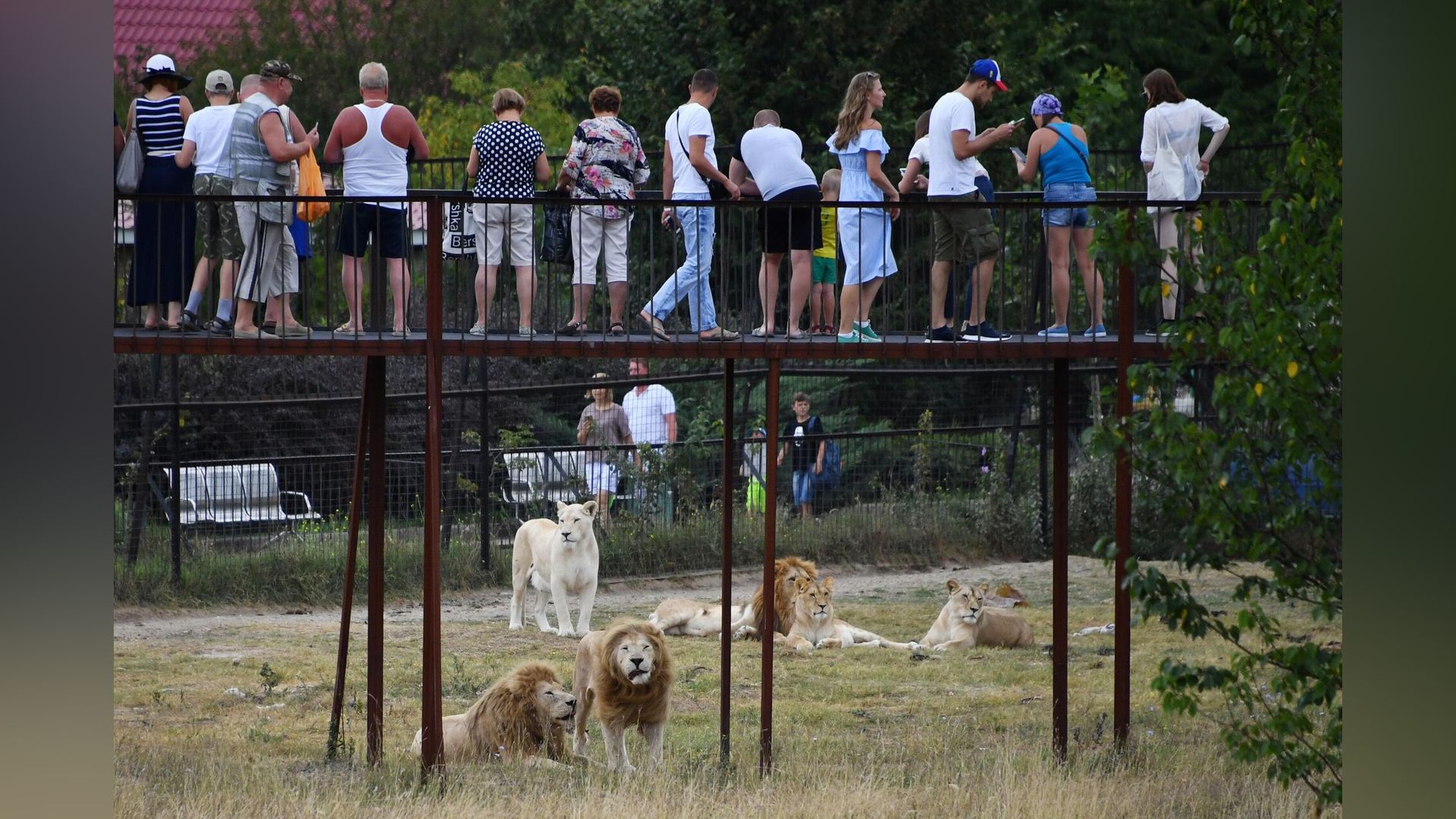 Сафари-парк «Тайган»